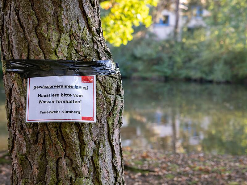Langwassersee in Nürnberg verunreinigt