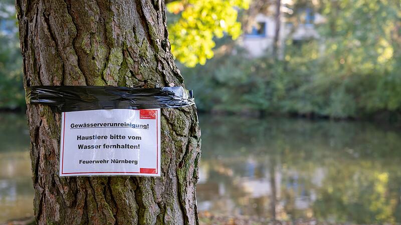 Langwassersee in Nürnberg verunreinigt