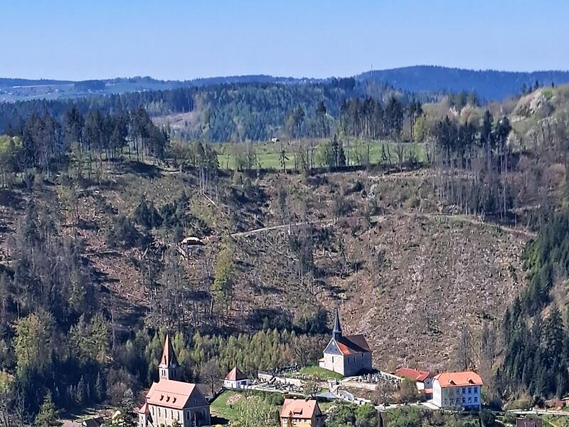 Leserfotos: So sch&ouml;n ist der Sommeranfang im FrankenwaldLeserfotos: So sch&ouml;n ist der Sommeranfang im Frankenwald