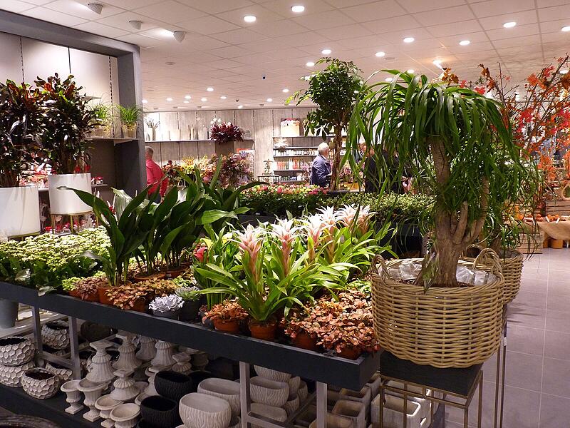 Ein Rundgang in Fotos: Das Angebot in den neuen Gesch&auml;ftsr&auml;umen von Blumen Lechner in H&ouml;chstadt