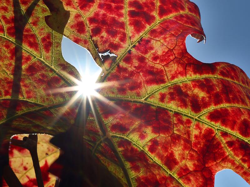 Herbst in Bayern Herbst in Bayern
