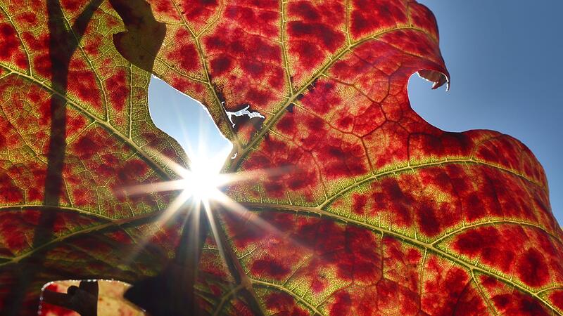 Herbst in Bayern Herbst in Bayern