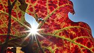 Herbst in Bayern Herbst in Bayern