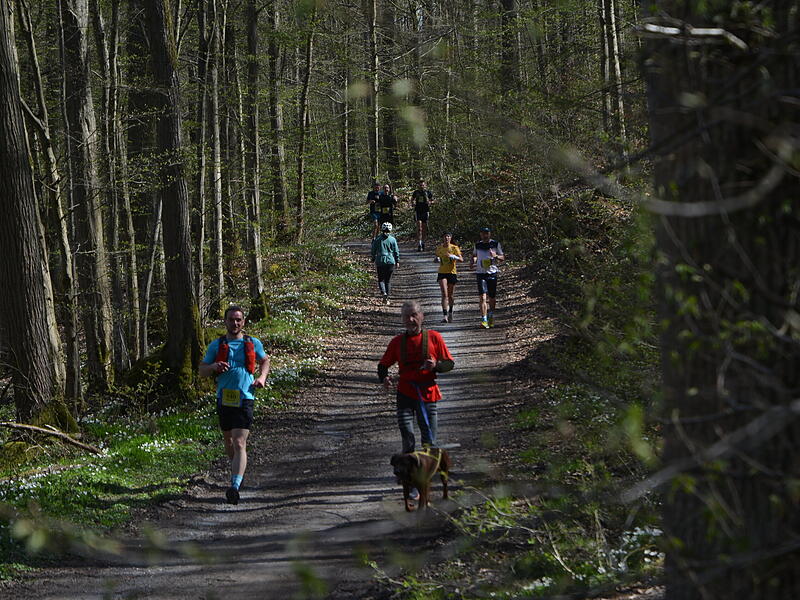 Bilderstrecke vom Saaletal-Marathon in RamsthalSaaletal-Marathon in Ramsthal