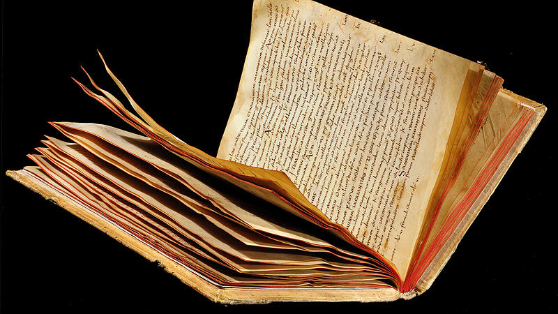 Das Lorscher Arzneibuch der Staatsbibliothek Bamberg &ndash; ein mittelalterlicher Pergamentband.