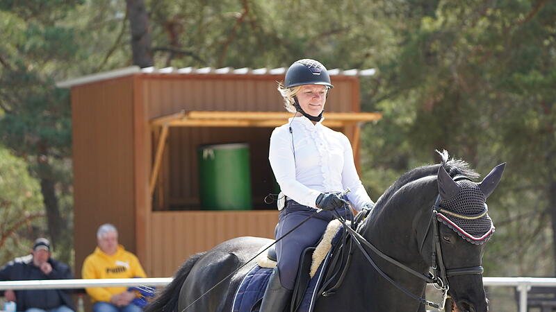 Reitsport auf der Steige Reitsport auf der Steige