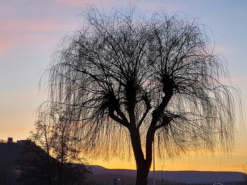Dieses Bild zeigt einen Sonnenuntergang mit Blick auf Schloss Saaleck.