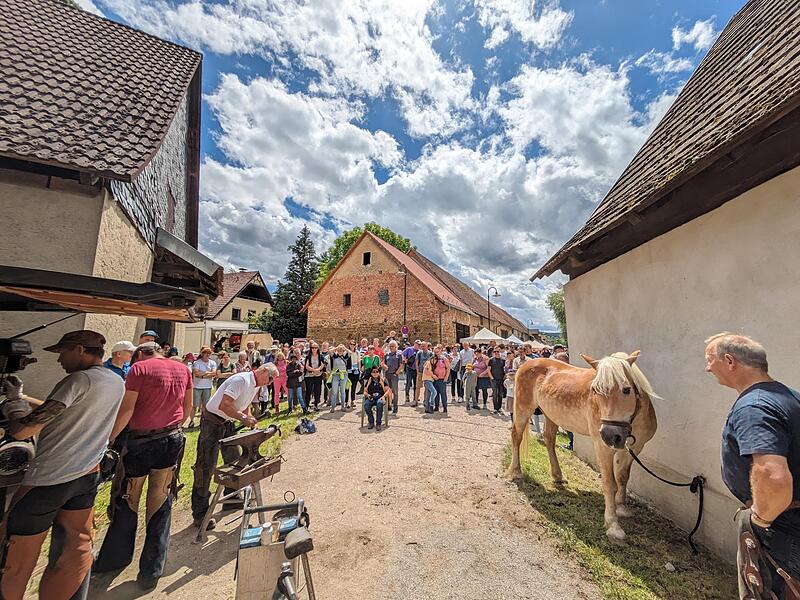 Beim Hufbeschlag gab es viele Zuschauer:innen.Historischer Markt in Ebermannstadt