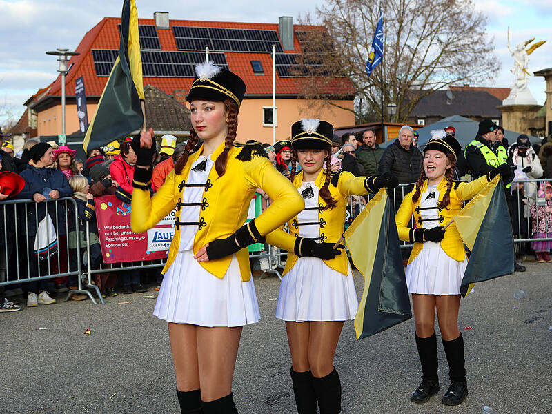 Faschingszug MemmelsdorfFaschingszug Memmelsdorf