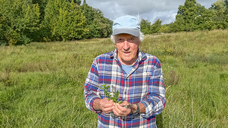 Hans Krautblatter auf zeigt die Artenvielfalt auf der Streu- und Blühwiese in Höchstadt.