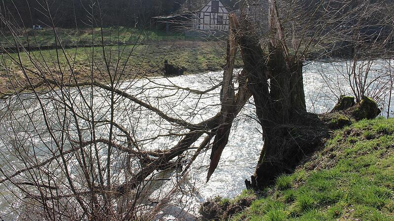 Die B&auml;ume am Ufer, hier am Luitpoldsprudel bei Gro&szlig;enbach, seien teilweise &uuml;beraltert, hei&szlig;t es vom Wasserwirtschaftsamt.