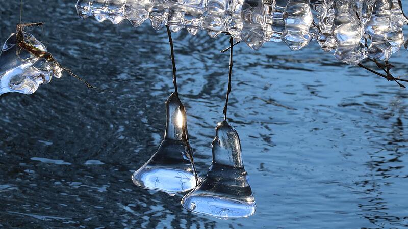 Wie Glocken: wundersch&ouml;ne Eisgebilde  am Rudufersee