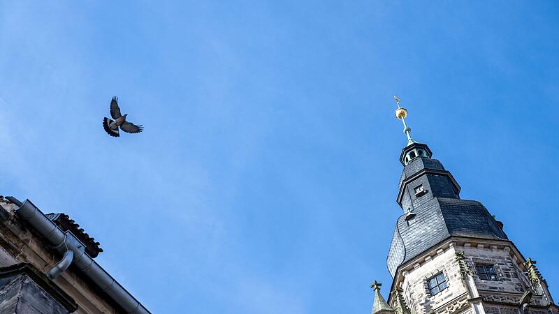 Bu&szlig;- und Bettag