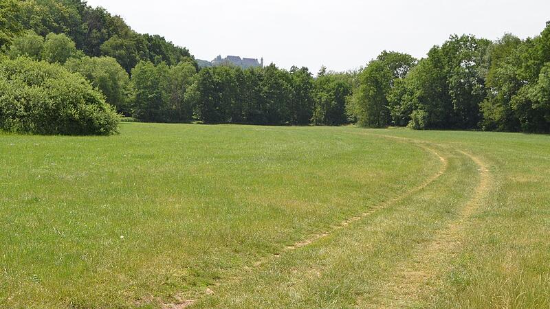 Aus dem Trampelpfad durch die Itzwiesen soll ein Radweg werden – wenn er genehmigt wird.