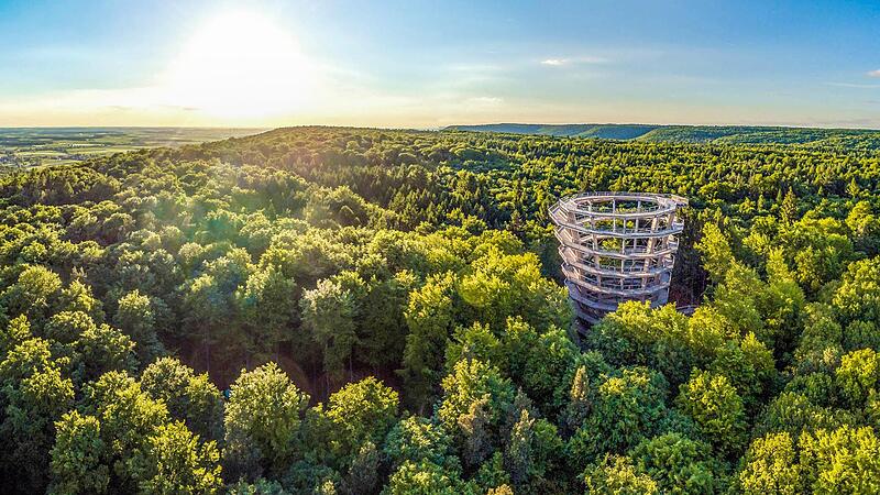 Eine fantastische Aussicht &uuml;ber und k&uuml;hlenden Schatten unterhalb der Baumkronen bietet der Baumwipfelpfad im Steigerwald.