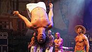 Capoeira-Show beim Samba-Festival in Coburg