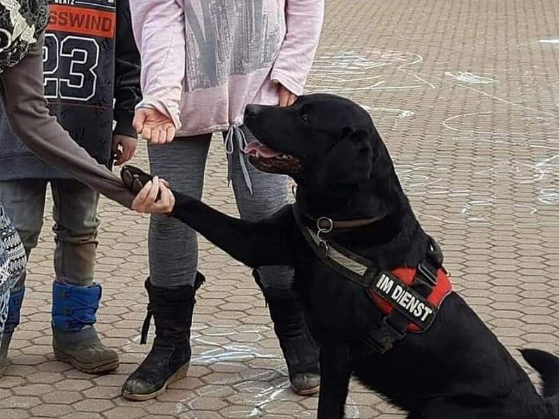 Besuchshund Nero eignet sich besonders für Besuche an Schulen.Forchheim & Fränkische Schweiz Besuchshund Nero eignet sich besonders für Besuche an Schulen.Forchheim & Fränkische Schweiz