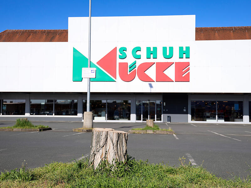 Vor dem Schuh Muecke in Forchheim sind einige B&auml;ume gef&auml;llt wordenForchheim & Fr&auml;nkische Schweiz