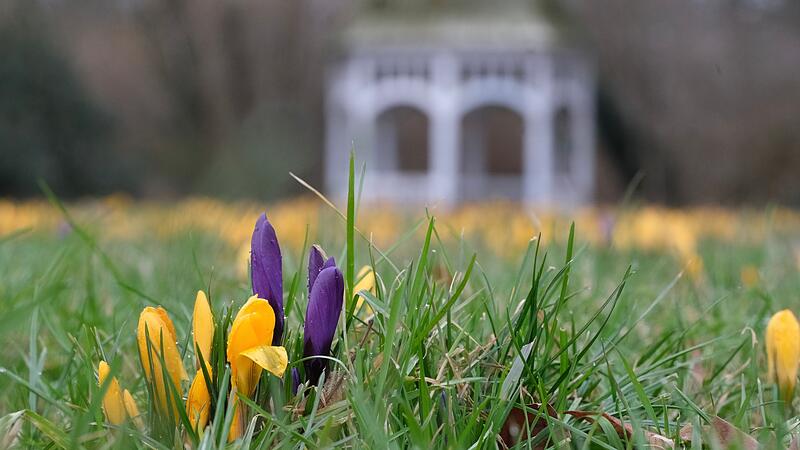 Meteorologischer Fr&uuml;hlingsanfang