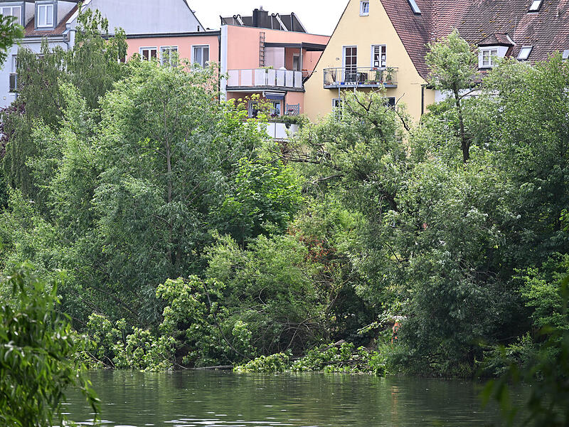 Weegmannufer SturmschadenSturmschäden am Laurenziplatz u.a.