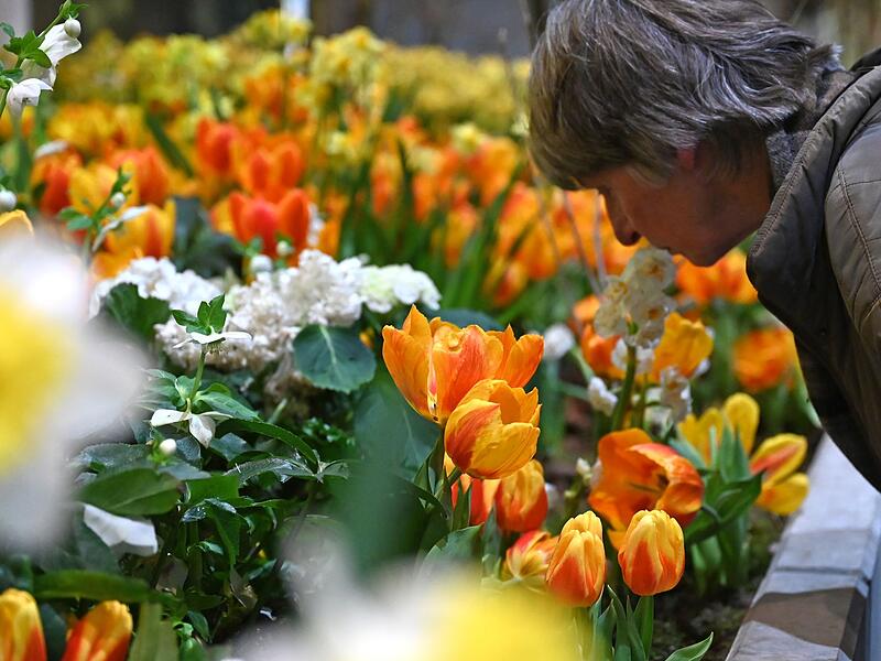 90. Internationale Gr&uuml;ne Woche