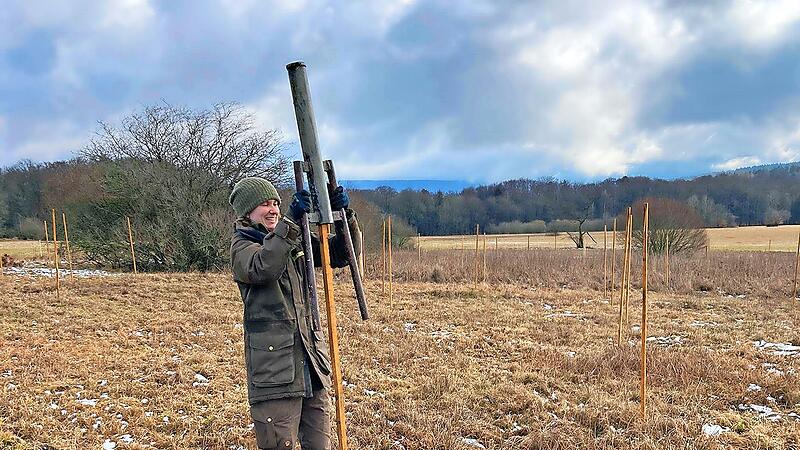 Rund 950 Ansitzwarten haben Naturschützer im vergangenen Winter für seltene Wiesenbrüter ausgebracht.