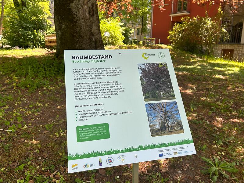 Zeigen, wie leicht Naturschutz sein kann: Contakt-Garten in Coburg eröffnet