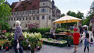 Das Fränkische Gartenfest mit Künstlermarkt lockte wieder zahlreiche Besucher nach Mitwitz.Gartenfest Mitwitz