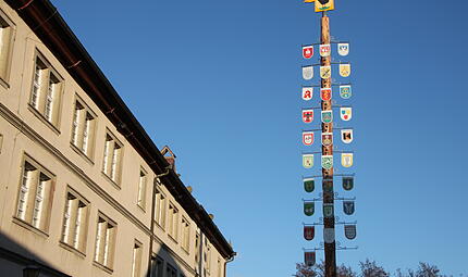 In M&uuml;nnerstadt steht nach neun Jahren wieder ein Zunftbaum am Feuerwehrhaus.