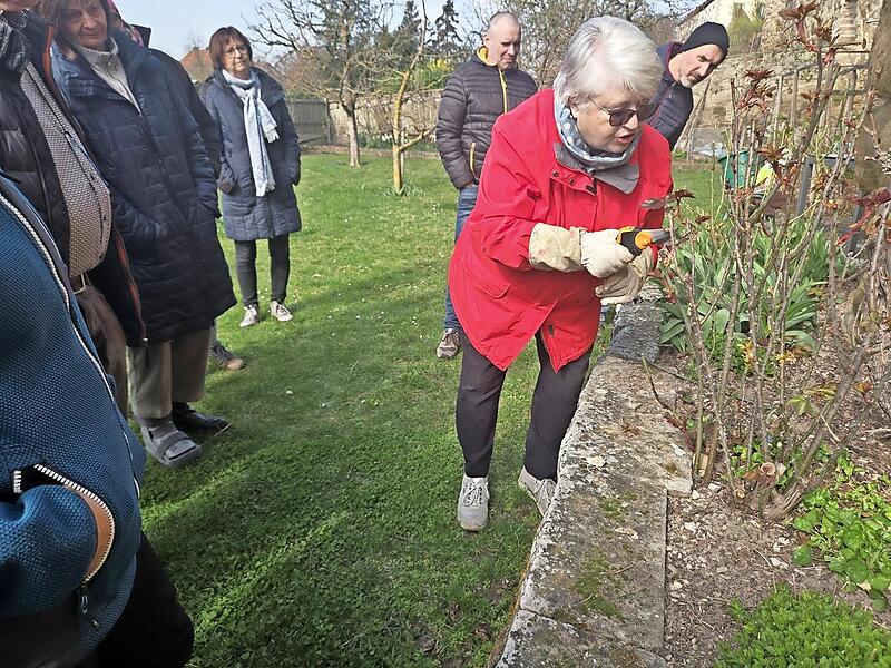 Vor einer gro&szlig;en Besucherschar erl&auml;uterte Christa Schlegelmilch (rote Jacke) die Prinzipien des Rosenschnittes. Foto: Brigitte Krause