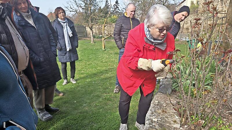 Vor einer gro&szlig;en Besucherschar erl&auml;uterte Christa Schlegelmilch (rote Jacke) die Prinzipien des Rosenschnittes. Foto: Brigitte Krause
