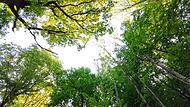 Klimaschutz ist auch im Landkreis Forchheim wichtig. Nicht alle Bürger sind zufrieden mit den Anstrengungen ihrer Wohnorte.Forchheim & Fränkische Schweiz Klimaschutz ist auch im Landkreis Forchheim wichtig. Nicht alle Bürger sind zufrieden mit den Anstrengungen ihrer Wohnorte.Forchheim & Fränkische Schweiz