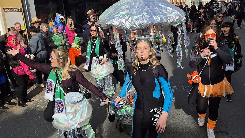 Faschingsumzug in Hollfeld