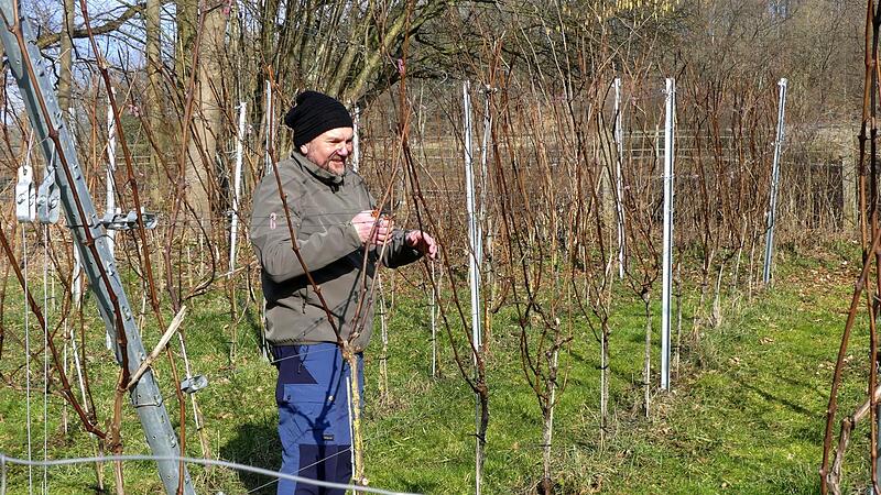 Alexander Fuchs hat Spa&szlig; bei der Arbeit in seinem Weinberg.