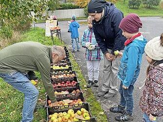 Die Schüler und Schülerinnen staunten über die vielen Apfelsorten, die Robert Hildmann vom BN in die Grundschule Dittlofsroda mitgebracht hatte. Die Schüler und Schülerinnen staunten über die vielen Apfelsorten, die Robert Hildmann vom BN in die Grundschule Dittlofsroda mitgebracht hatte.