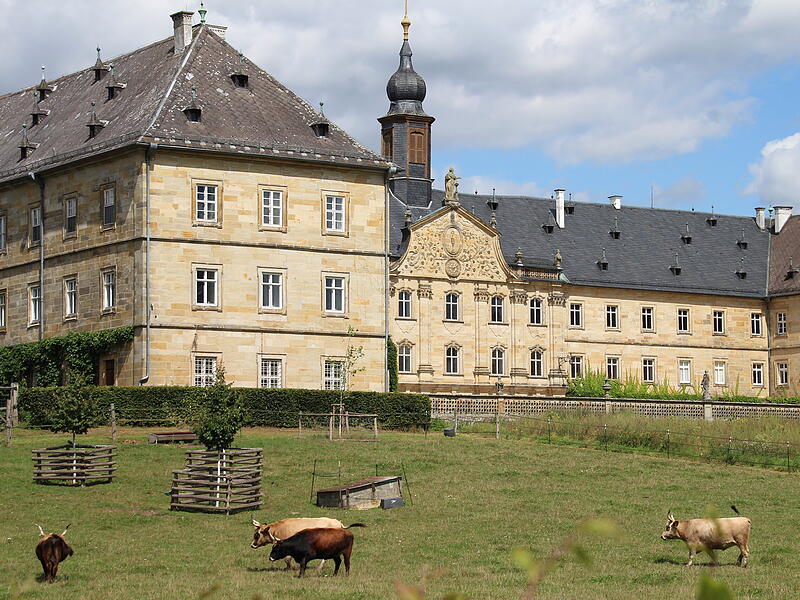 Ein Besuch im Wildpark Tambach im Landkreis Coburg