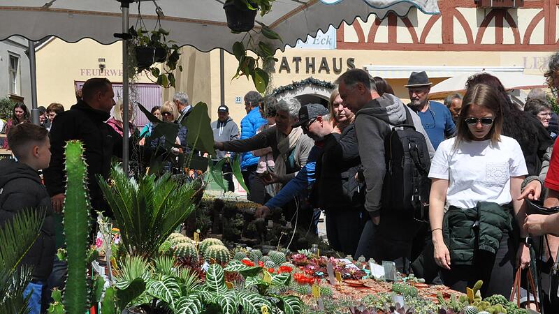 Die Gartenfreunde erwartete ein gro&szlig;es Angebot an Blumen.