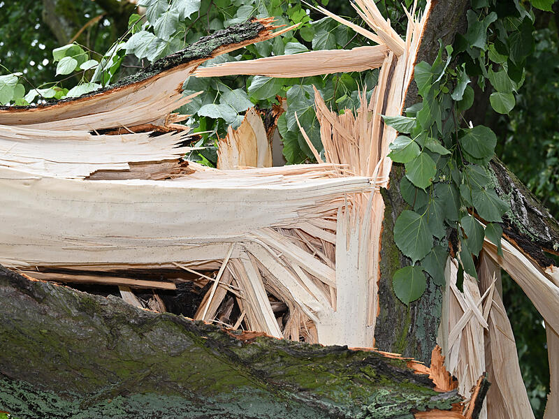 Sturmschäden LaurenziplatzSturmschäden am Laurenziplatz u.a.