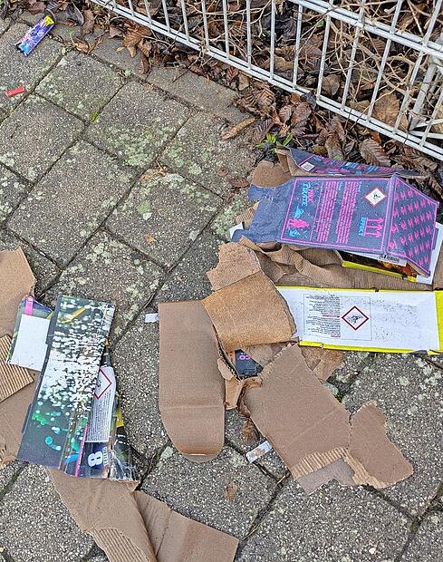 Reste von Silvester, vom Eis befreit.