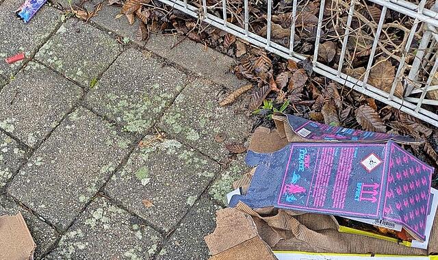 Reste von Silvester, vom Eis befreit. Reste von Silvester, vom Eis befreit.