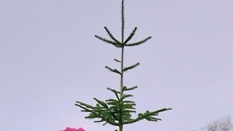 Michael Heinrich Michael Heinrich