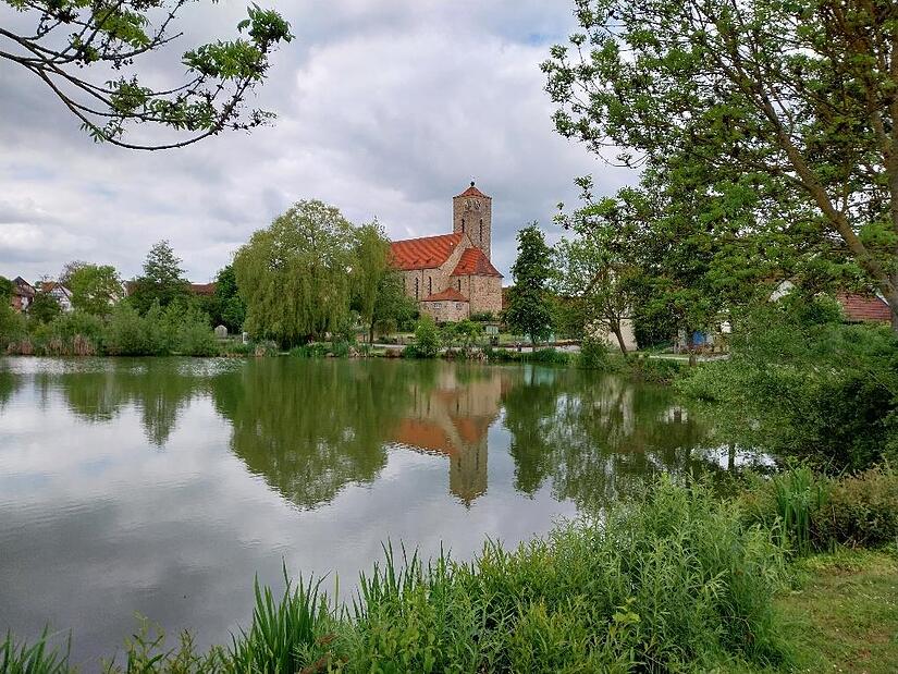 Auch auf Entdeckungstour nach Hohenroth ging es mit „Natur unvergesslich“ im Mai.