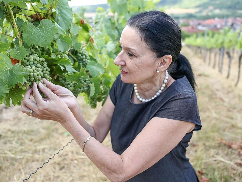 Alkoholfreier Wein Alkoholfreier Wein