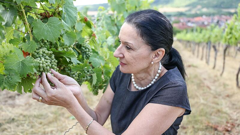 Alkoholfreier Wein