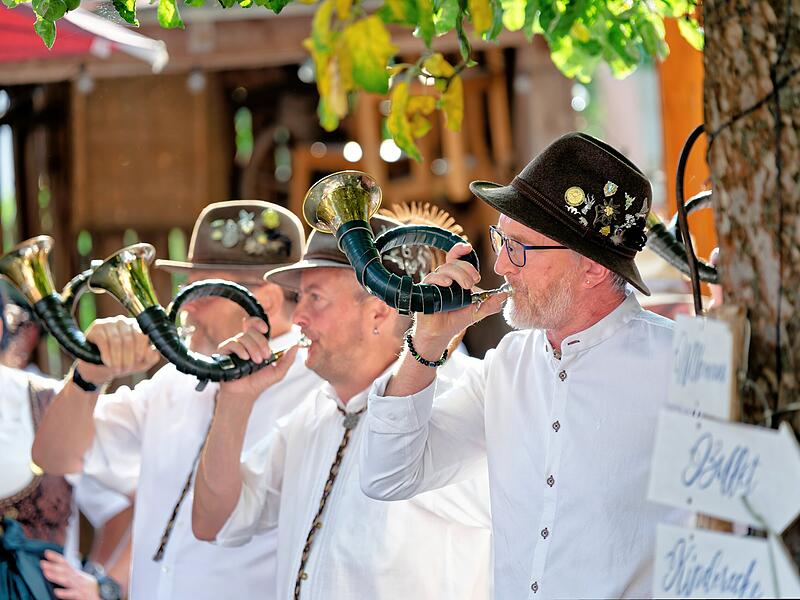 Die kleinen Fürst-Pless-Hörner sind die Klassiker. Wer mehr möchte lernt dann noch das größere Parforcehornspielen.60 Jahre Steigerwälder Jagdhorn-Bläser Die kleinen Fürst-Pless-Hörner sind die Klassiker. Wer mehr möchte lernt dann noch das größere Parforcehornspielen.