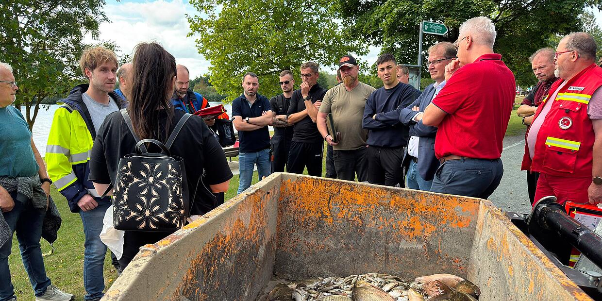 Fish kill in Kulmbach: Has the waterway become polluted?