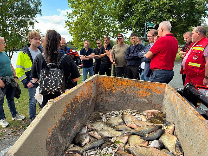 Kiesw&auml;sch Fischsterben