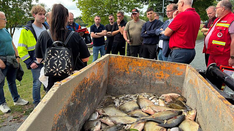 Kiesw&auml;sch Fischsterben
