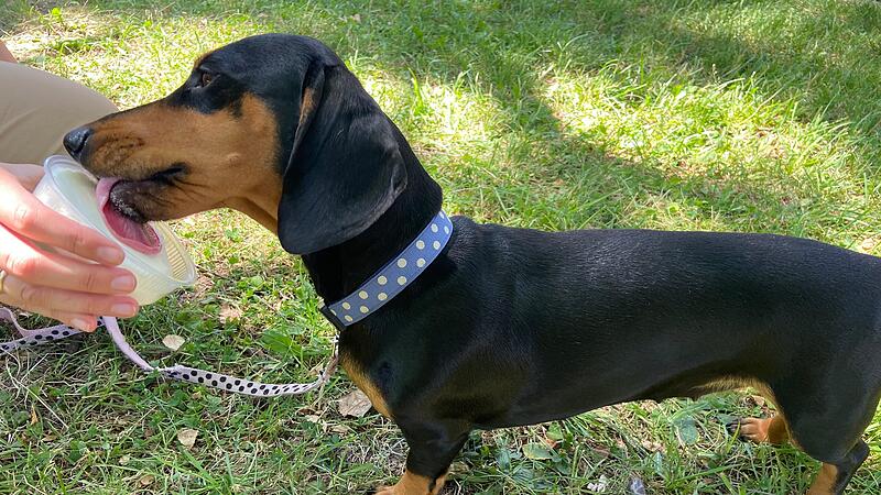 Greta beim Eisessen