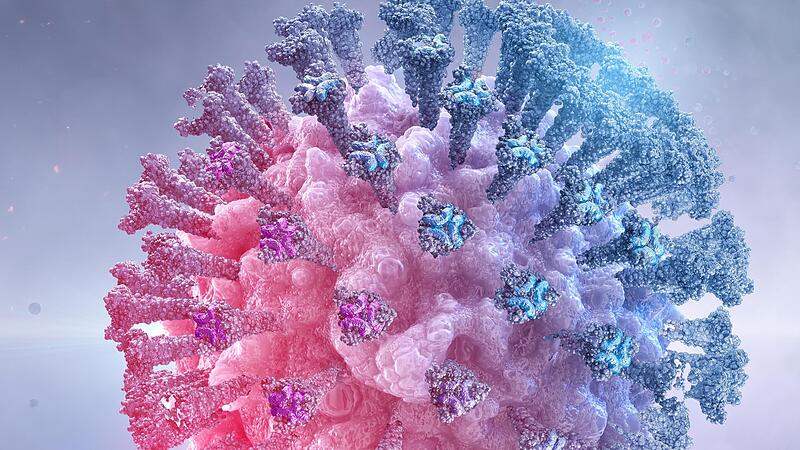 In der f&uuml;nften   Corona-Welle  vertrauen   die Experten  im Kreis Forchheim auf die Erfahrungen     vor allem aus der ersten   Welle.Forchheim & Fr&auml;nkische Schweiz